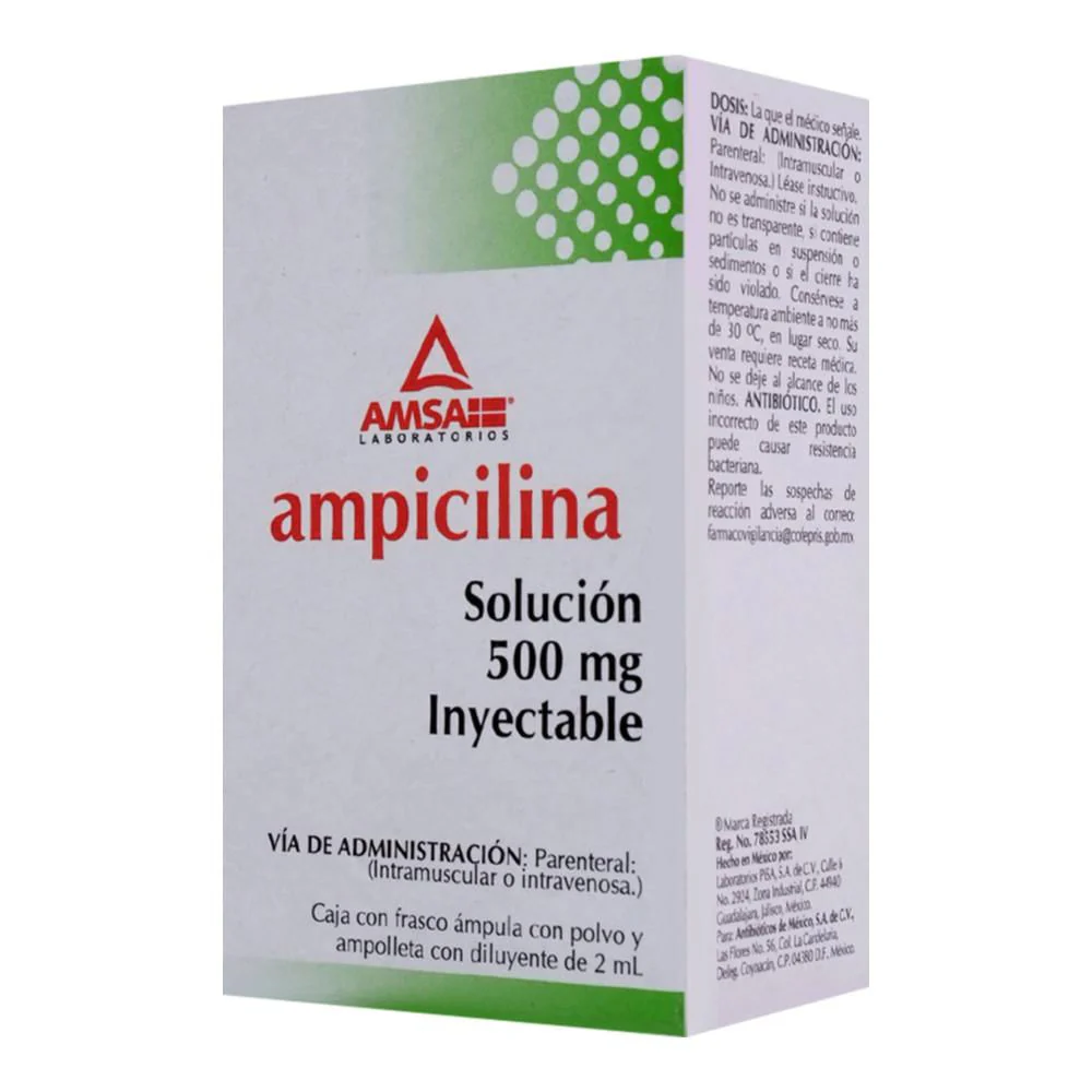 Ams Ampicilina 500 Mg Fa